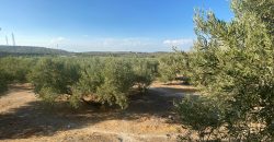 Parcela venta La Imora