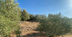Parcela venta La Imora
