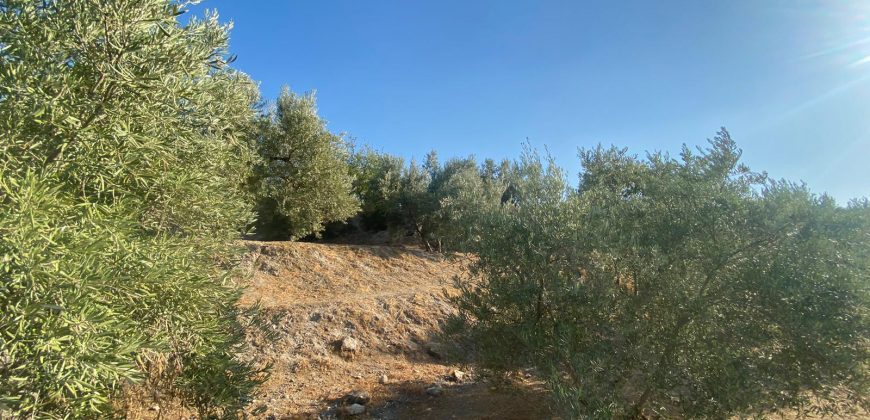 Parcela venta La Imora