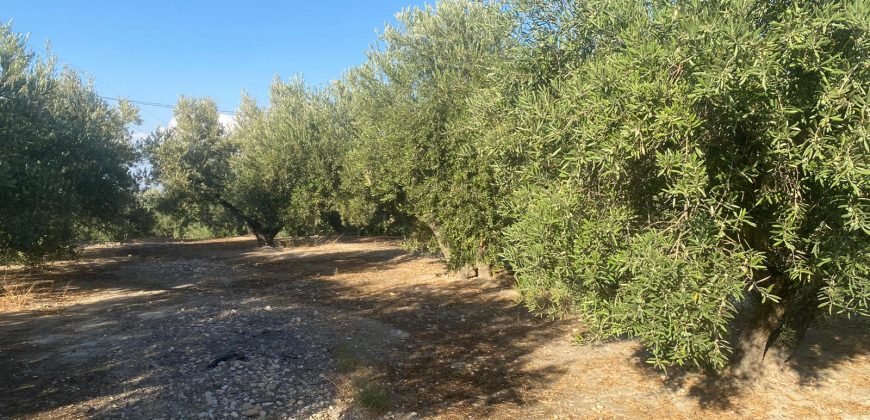 Parcela venta La Imora
