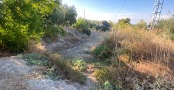 Parcela venta La Imora