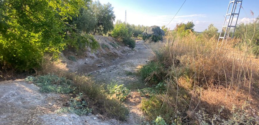 Parcela venta La Imora