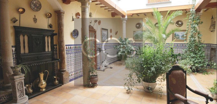 Casa Palacio
