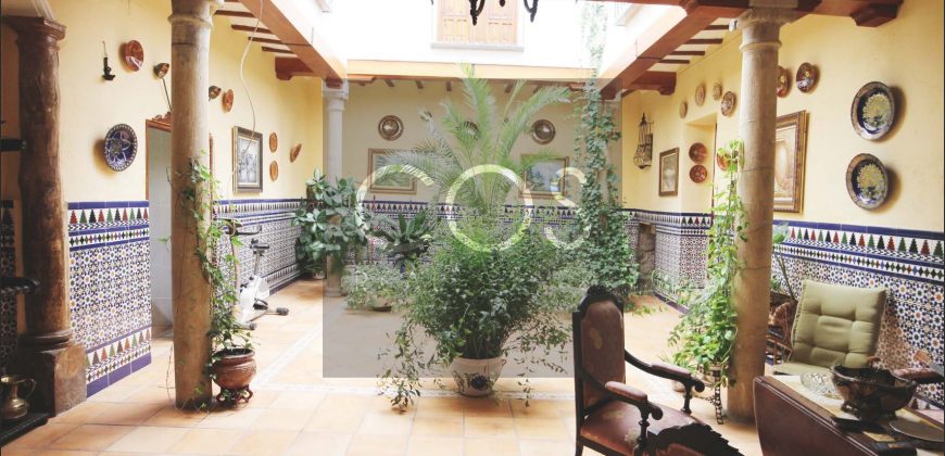 Casa Palacio